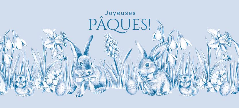 Offer Banner